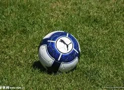 重磅,津门虎球星,陈哲宣涉嫌,亚博体育Yabo,Sports官网,Yabo,Sports亚博体育娱乐,亚博体育投注,亚博体育平台,亚博体育赛事直播,亚博体育app下载