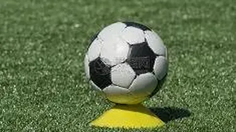 亚博体育 资讯 083812 r9o